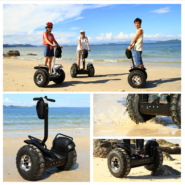 Auto Segway Electric Scooter Two Wheel 19 Inch Intelligent Green Auto Segway Electric Scooter Two Wheel 19 Inch Intelligent Green Free Standing