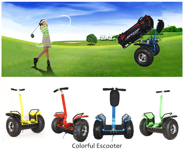 2 Wheel Balance Board Electric Chariot Scooter People Mover 2 Wheel Balance Board Electric Chariot Scooter People Mover Waterproof