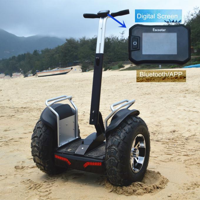 Audlt Off Road Two Wheels Self Balancing Electric Scooter Segway Type