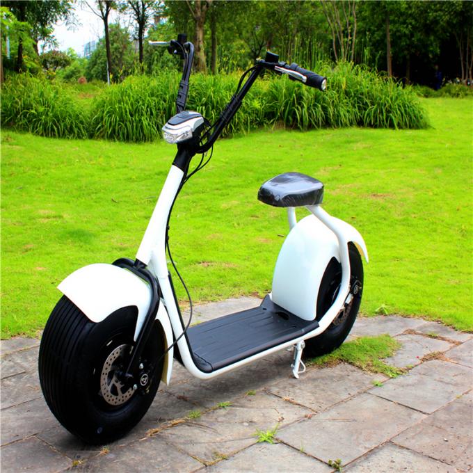 Smart Cool 18inch 1000W Harley 2 Wheel Electric Scooter With Seamless