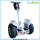 Self Balancing Electric Chariot Scooter / Two Wheel Mobility Scooter