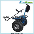 Self Balancing Electric Scooter X2 Chic Cross Country Two Wheel Chariot