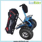 High Power Electric Golf Scooter / Patrol Mobility Golf Scooters 2000W