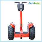 Outdoor Electric Chariot Scooter Segway Human Transporter Brush DC Motor Power