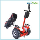 Outdoor Electric Chariot Scooter Segway Human Transporter Brush DC Motor Power