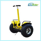 40 Km Fast Lithium Battery Electric Scooter Chariot CE ROHS FCC Approved