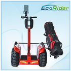 Standing up Segway Electric Scooter / Electric Golf Cart Scooter with Bag
