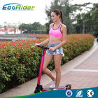 Beautiful Magnalium / Carbon Fiber Electric Kick Scooter / 2 Wheel Scooter