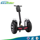 21'' Segway 2 wheel electric scooter for teenagers / adult , Self Balance System