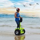 21 Inch Off Road Segway Electric Scooter Ecorider 4000W Brushless 2 Wheel Balance Scooter