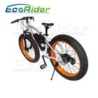 26 Inch Tires 2 Wheel Electric Bike Outdoor Off Road Dirt Electric Snowmobile Bikes High Speed