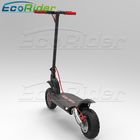EcoRider Foldable Electric Scooter Aluminium Alloy 2 Wheel Off Road 48v 1000w Self Balancing
