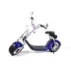 Two Wheels Electric Scooter Citycoco Battery Removable Electric Scooter