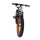 Fat Tire Snow 2 Wheel Electric Bike 500w Foldable 4-6h Charging Time With CE Certification