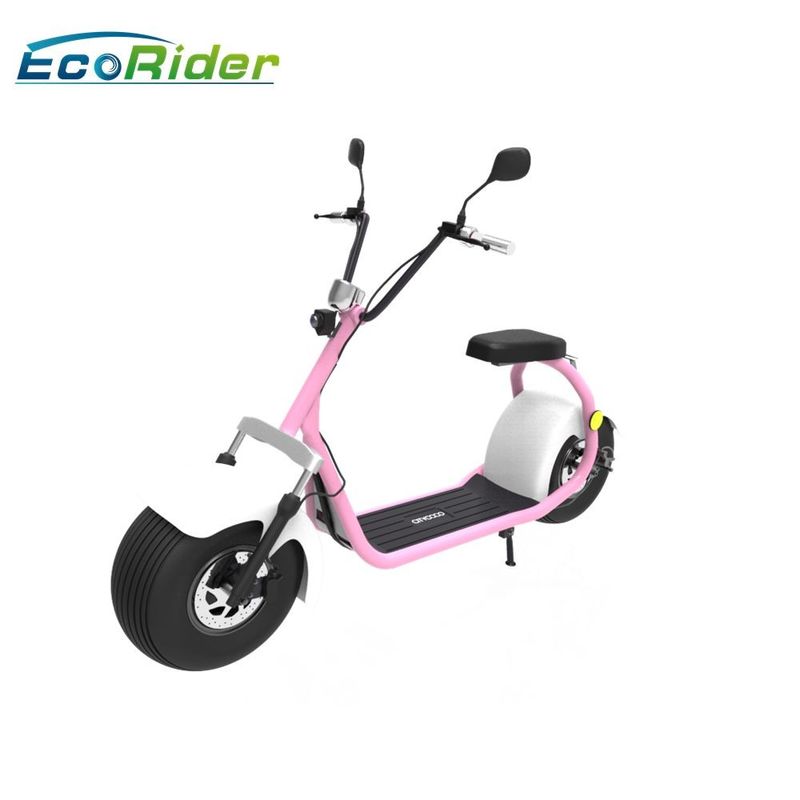 Ecorider 2 Wheel Electric Bicycle Scooter , Lt019 Citycoco Bike With Double Seat