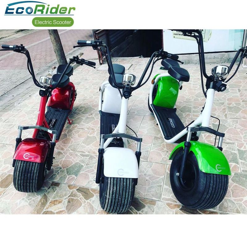 EEC Approved 2 Wheel Electric Scooter , 1200W Motor Harley Two Wheel Electric Bicycle
