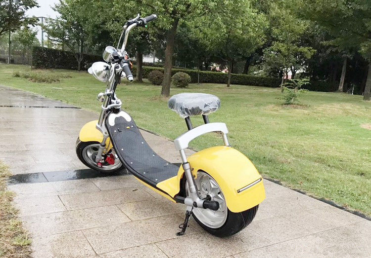 EcoRider 1000W 60V 10ah Big solid tire Two Wheel Electric Motorcycle Scooter Citycoco With front lamp and speedmeter