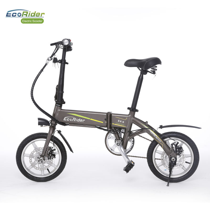 Smart Foldable Electric Biker 2 Wheel Electric Bike With Removeable Lithium Battery