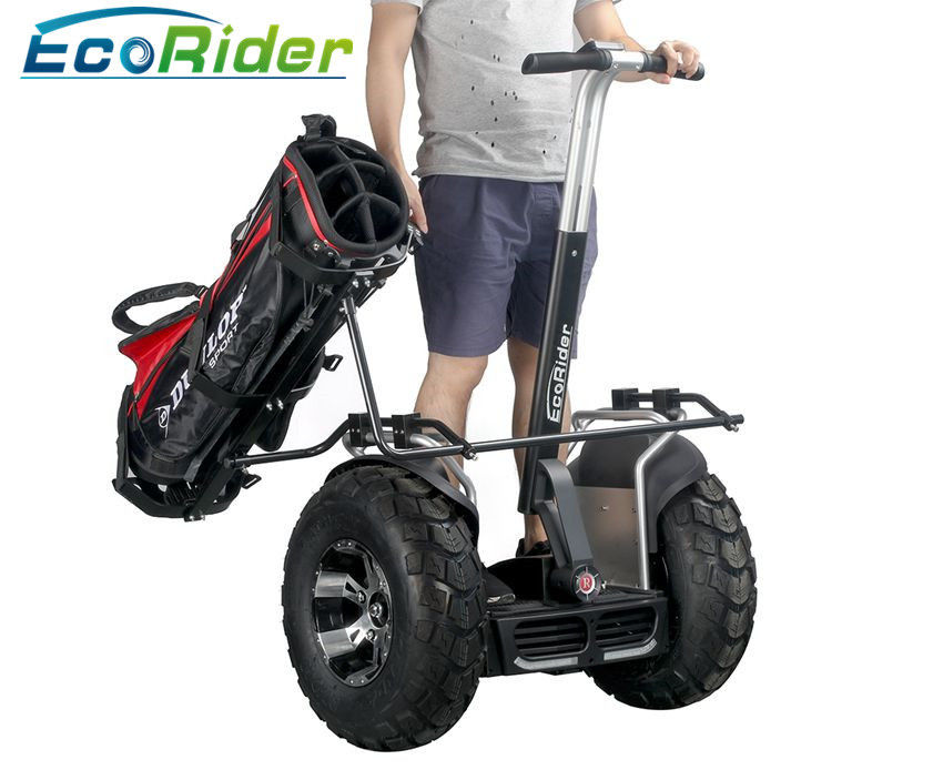 Two Wheels Self Balancing Electric Scooter Balance Scooter 21 Inch Big Tire