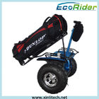 Self Balancing Electric Scooter X2 Chic Cross Country Two Wheel Chariot