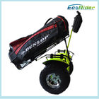 2 Wheel Self Balancing Smart Electric Scooter with Golf Bag Carrier