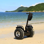 Powerful Adult Lithium Battery Electric Scooter 2 Wheel Leasing 125Kg