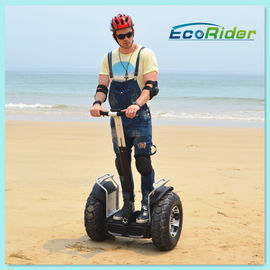 Brush Or Brushless Motor Electric Chariot Scooter Black Two Wheel Segway