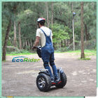 Rainproof Electric Self Balancing Scooters Chariot With Kenda Tire