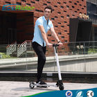 Carbon Foldable Electric Scooter with 350 Watt Brushless Motor , Electric Kick Scooter