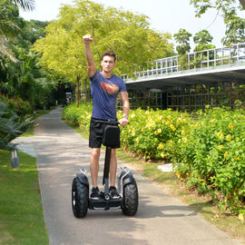 Two Wheeled Balance Electric Scooter Chariot With CE Approved 60km-70km