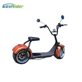 Ecorider 2 Wheel Electric Bicycle Scooter , Lt019 Citycoco Bike With Double Seat