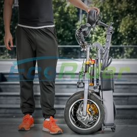 New Design Foldable Electric Scooter Three Wheels 48V 250W Folding Electric Bike