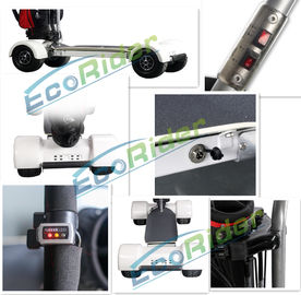 EcoRider Four Wheel Electric Golf Scooter Skateboard Cart with Ajustable Handle