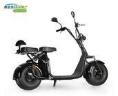 Fat Tire 2 Wheel Electric Scooter With Optional Lithium Battery LT018