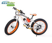Fat Tire 2 Wheel Electric Bike 26 Inch Suspension Top High Rate Motor 48V 350W