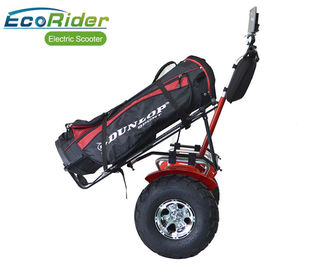 2 Wheel Balance Electric Scooter EcoRider Dropshop 21 Inch Tire Self Balancing App Control