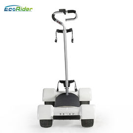 Europe Style 4 Wheel Mini Golf Cart 20km/h EcoRider E7-2 60V Golf Board Sports