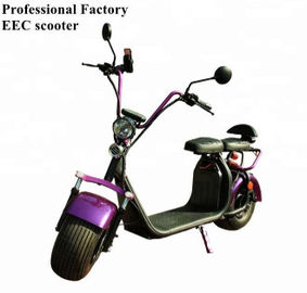 EcoRider 2 wheel electric scooter 1500w brushless hub motor with big fat tire and EEC certificate