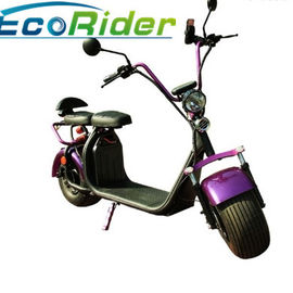 EcoRider 2 wheel electric scooter 1500w brushless hub motor with big fat tire and EEC certificate