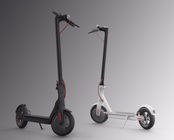 Portable Folding Cycling Nding Two Wheel Scooter Adults Children Balance Car EcoRider