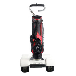 Electric 4 Wheel SkateboardMax Load 150kg Golf Cart Lithium Battery Golf Scooter