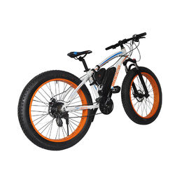 Fat Tire Snow 2 Wheel Electric Bike 500w Foldable 4-6h Charging Time With CE Certification