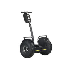 Outdoor Electric Golf Scooter Self Balance 19 Inch Fat Tire Two Wheels Chariot