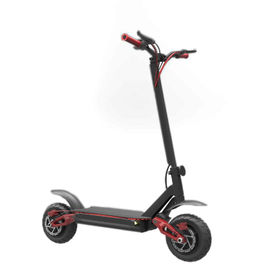 E4-9 Ecorider Two Wheel Electric Scooter , Self Balancing Smart Electric Scooter Foldable