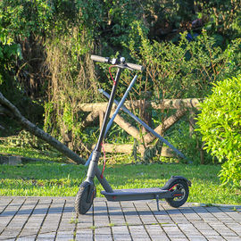 EcoRider 2 Wheels Self Balancing Scooters 500W 8.5 Inch 36V Xiaomi Scooter Mobility