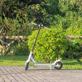 EcoRider 2 Wheels Self Balancing Scooters 500W 8.5 Inch 36V Xiaomi Scooter Mobility