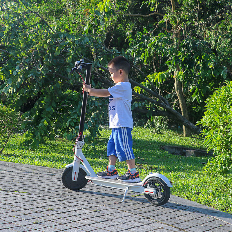EcoRider 2 Wheels Self Balancing Scooters 500W 8.5 Inch 36V Xiaomi Scooter Mobility