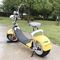 Harley Electric 2 Wheel Scooter / Motorized Two Wheel Scooter With Double Seat supplier